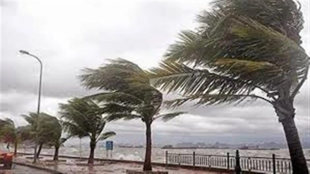 الأرصاد تصدر تحذيرات من تقلبات الطقس وهطول الأمطار في القاهرة والمحافظات